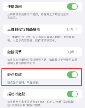 昭苏苹果授权维修站分享iPhone轻点无法唤醒怎么办 