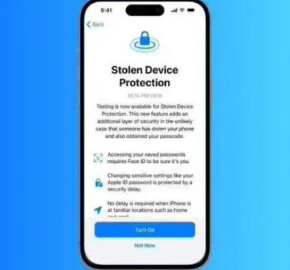 昭苏苹果授权维修店分享被盗设备保护功能开启方法 