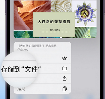 昭苏apple维修中心分享iPhone文件应用中存储和找到下载文件