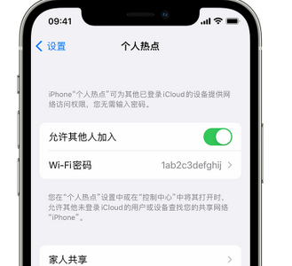 昭苏apple服务站点分享iPhone上个人热点丢失了怎么办 