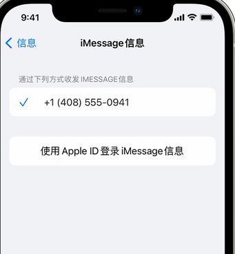 昭苏apple维修iPhone上无法正常发送iMessage信息