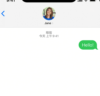 昭苏apple维修iPhone上无法正常发送iMessage信息