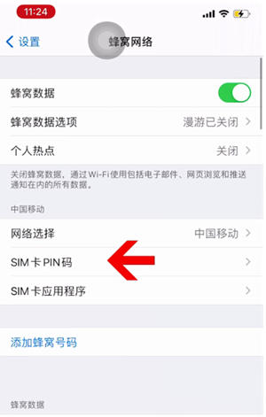 昭苏苹果14维修网分享如何给iPhone14的SIM卡设置密码 