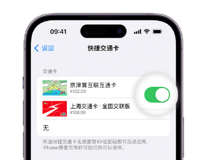 昭苏apple维修点分享iPhone上更换Apple Pay快捷交通卡手绘卡面 