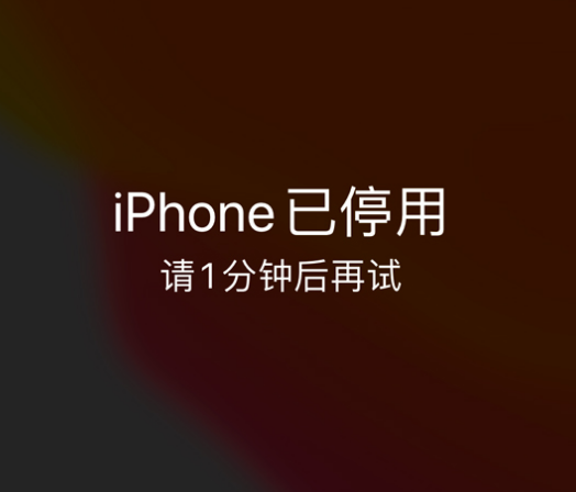 昭苏苹果手机维修分享:iPhone 显示“不可用”或“已停用”怎么办？还能保留数据吗？ 