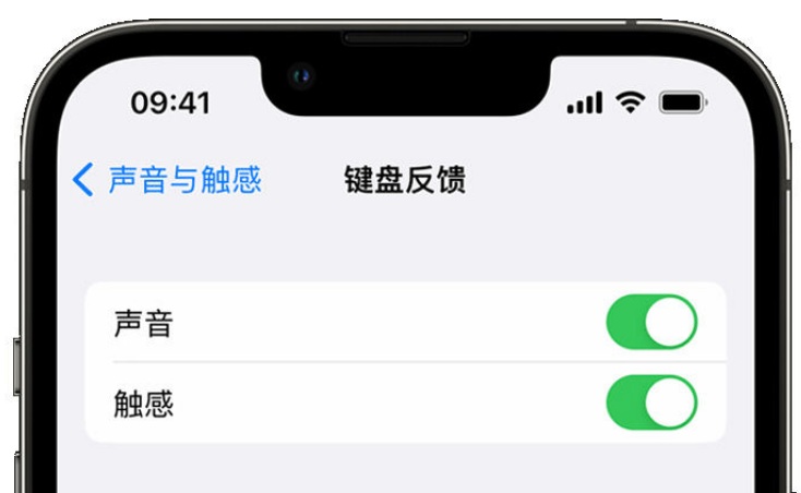 昭苏苹果手机维修分享iPhone 14触感键盘使用方法 