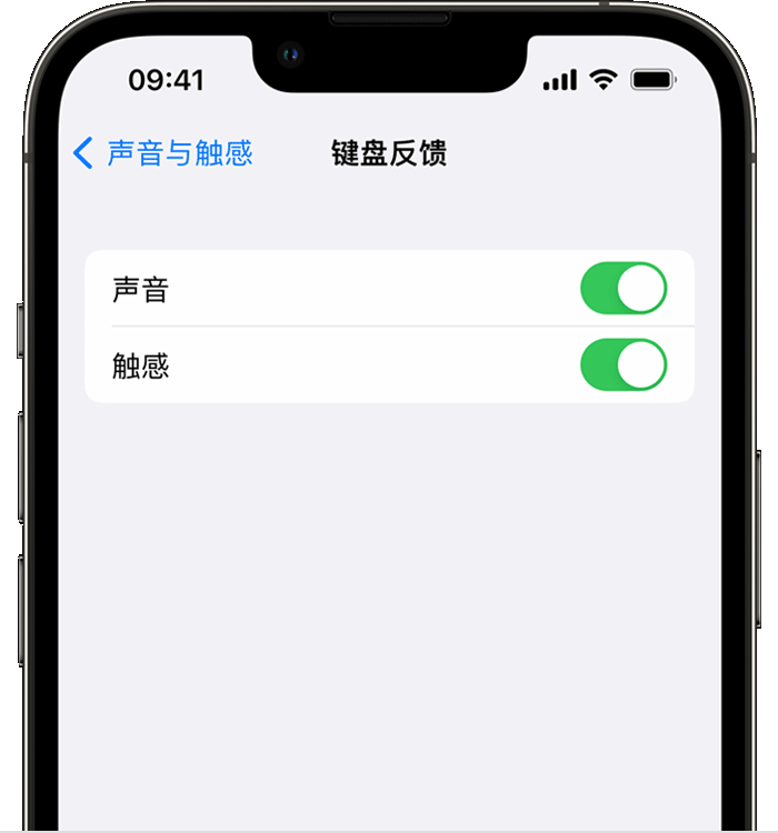 昭苏苹果14维修店分享如何在 iPhone 14 机型中使用触感键盘 