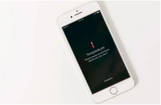 昭苏苹果手机维修分享iPhone 手机发热如何快速降温 