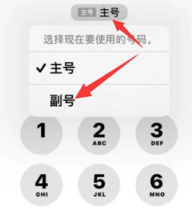 昭苏苹果14维修店分享iPhone 14 Pro Max使用副卡打电话的方法 