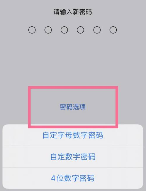 昭苏苹果14维修分享iPhone 14plus设置密码的方法 