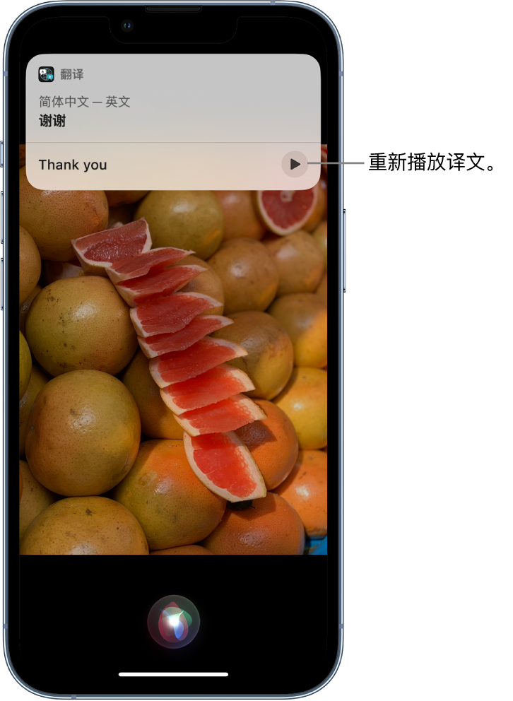 昭苏苹果14维修分享 iPhone 14 机型中使用 Siri：了解 Siri 能帮你做什么 