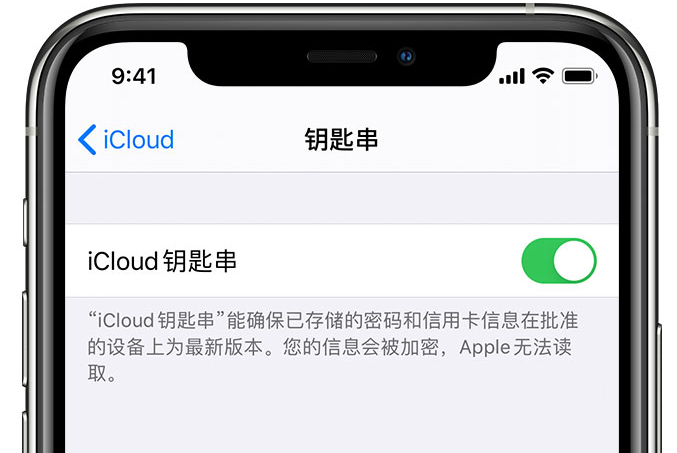 昭苏苹果手机维修分享在 iPhone 上开启 iCloud 钥匙串之后会储存哪些信息 