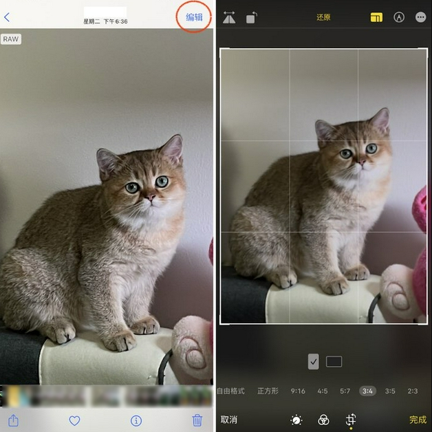 昭苏苹果手机维修分享苹果 iPhone 12 Pro 拍照会过度锐化 