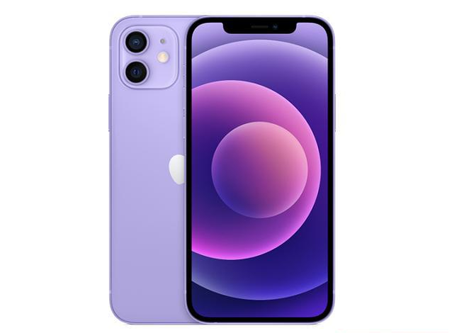 昭苏苹果手机维修分享现阶段要不要入手紫色版iPhone12 
