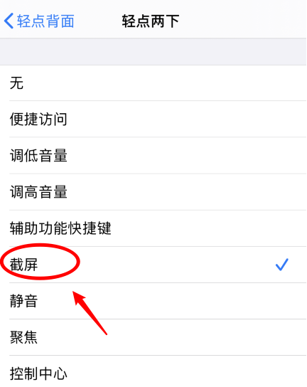 昭苏苹果手机维修分享iPhone12如何启用双击截屏 