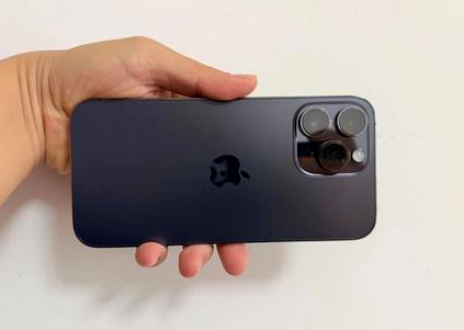 昭苏苹果维修点分享iPhone 14 Pro Max黑屏少见故障盘点 